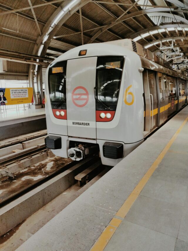 pexels-piyush-arora-654655-1463008 (1)