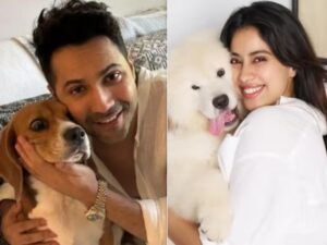 Bollywood stars protested against sending stray dogs to shelters