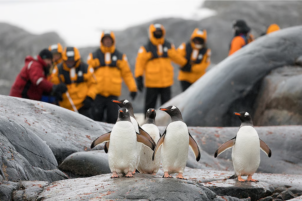 Antarctica