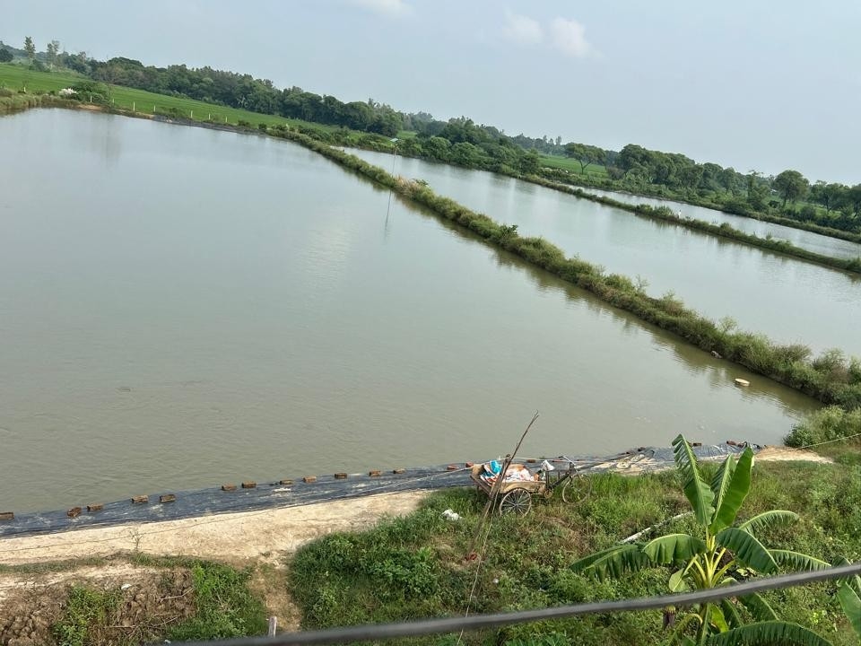 मिशन शक्ति