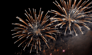 firecracker ban update | NEWG INDIA