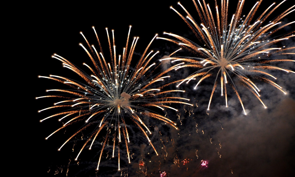 firecracker ban update | NEWG INDIA