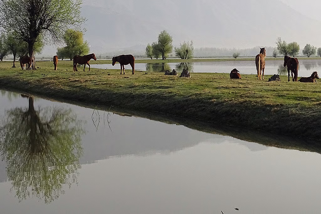 जम्मू-कश्मीर