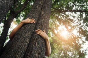 National Forest Martyrs Day