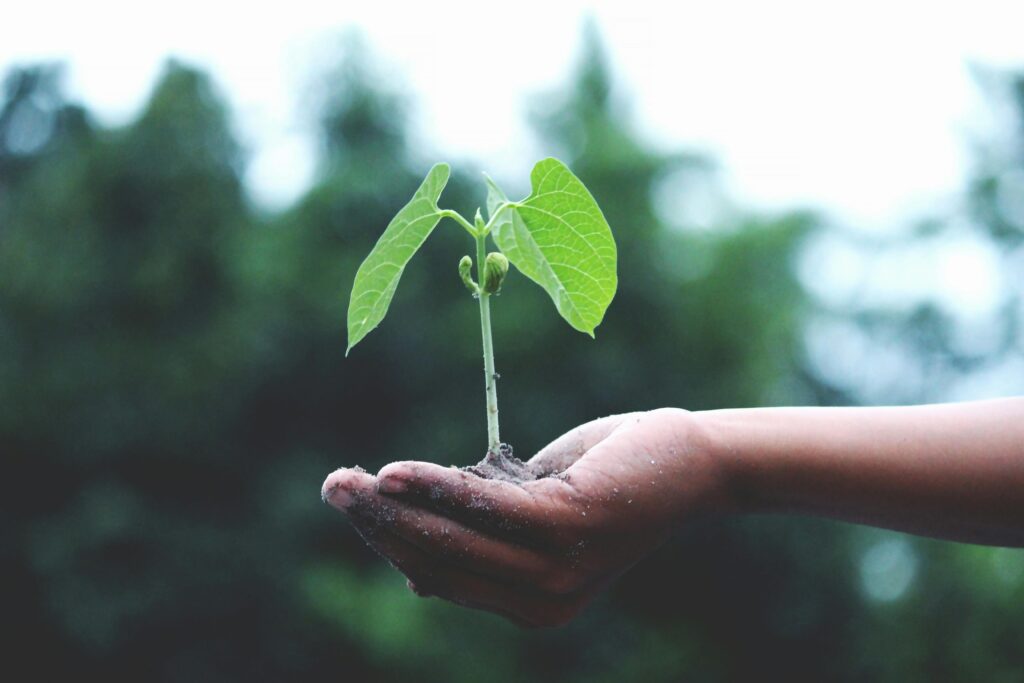 Important step of the government for environmental protection, Environmental Audit Rules 2025 released | NewG India