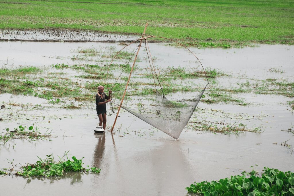 Health card of 233 wetlands of Bihar is ready, Wetland Mitra will take responsibility of their protection| | NewG India