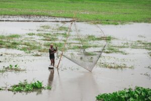 Health card of 233 wetlands of Bihar is ready, Wetland Mitra will take responsibility of their protection| | NewG India