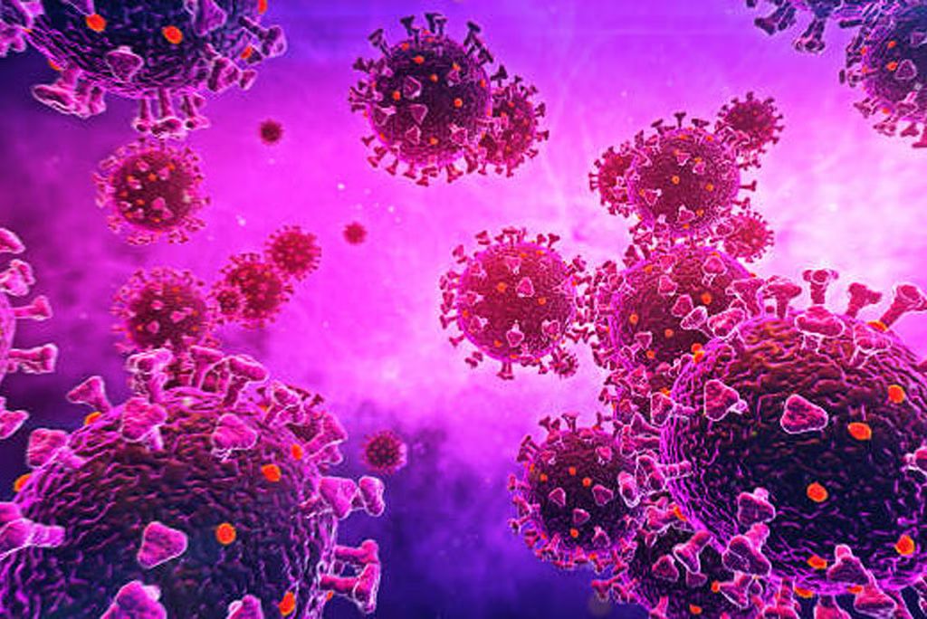 Virus
