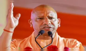 yogi