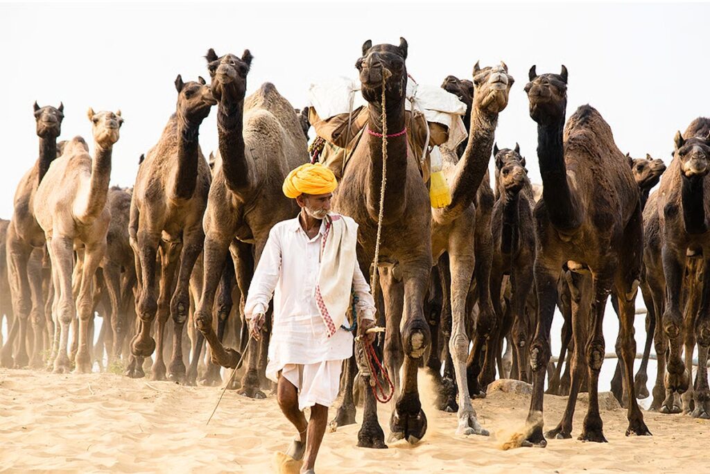2025 का सितंबर रहा धरती का तीसरा सबसे गर्म महीना