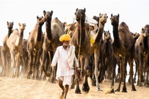 2025 का सितंबर रहा धरती का तीसरा सबसे गर्म महीना