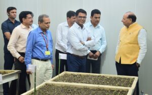 Tulips grown in native ambiance will be the centre of attraction in Lutyens' Delhi. NewG India