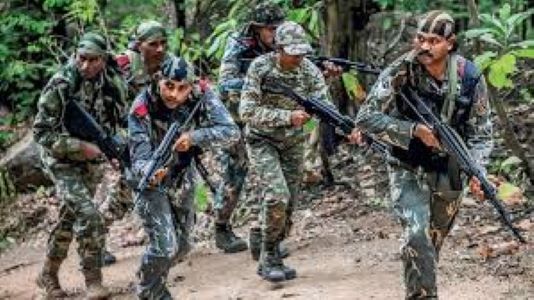 The red terror of the forest will soon end! NewG India