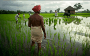 pm kisan