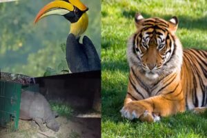 Delhi Zoo