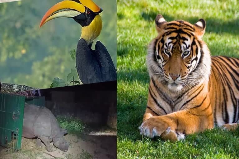 Delhi Zoo