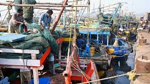Marine Fisheries Census