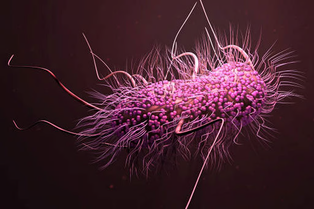 New National Action Plan to tackle the threat of antimicrobial resistance. NewG India