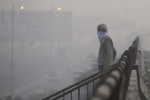 DELHI NCR