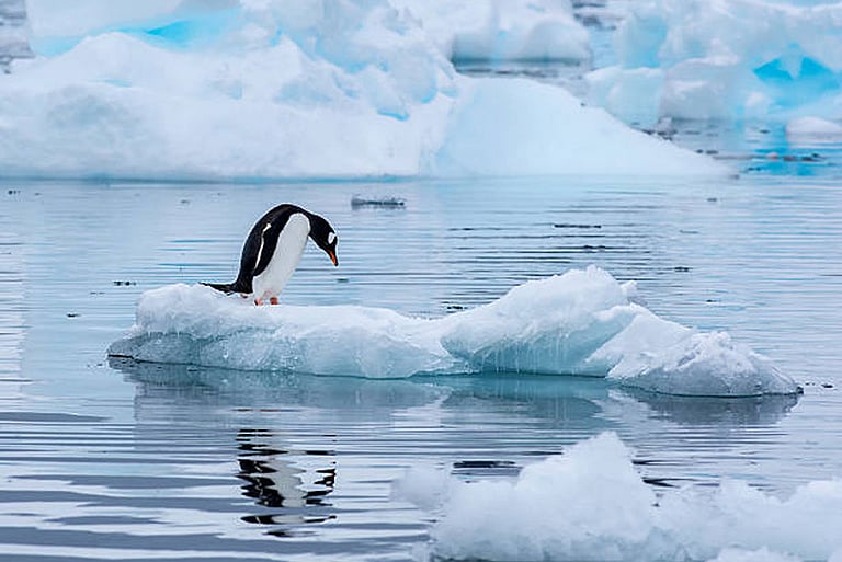 Greenland's ice is melting rapidly: Warming oceans are increasing the risk. NewG India