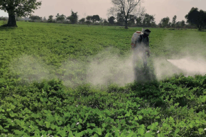 Lebanon's strict decision: Complete ban on pesticides containing oxamyl. NewG India