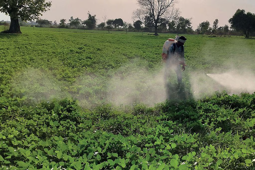 Lebanon's strict decision: Complete ban on pesticides containing oxamyl. NewG India
