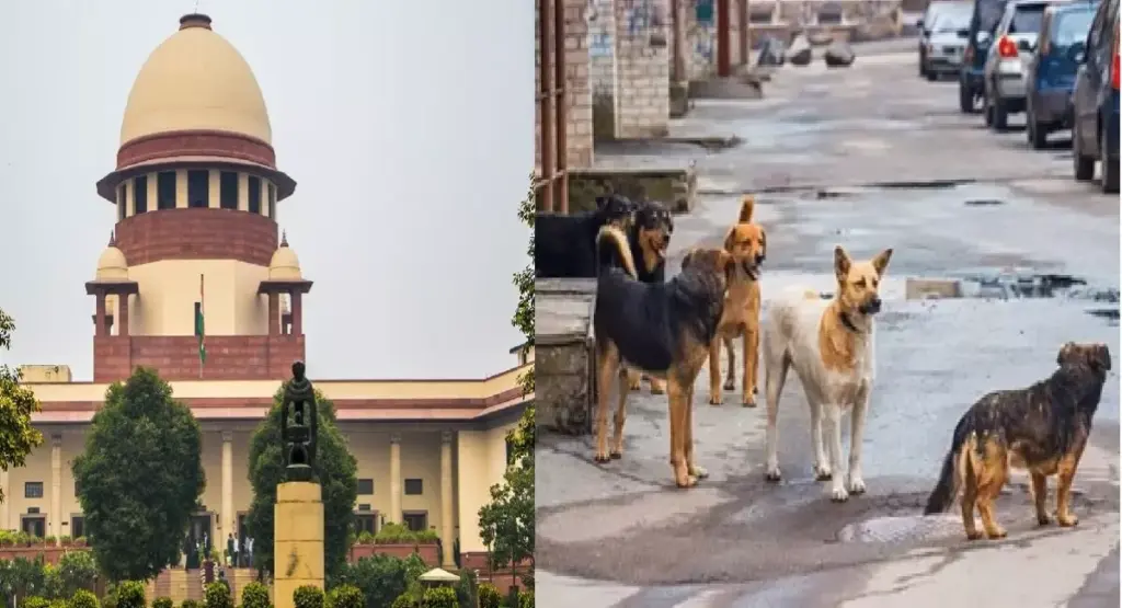 Supreme Court