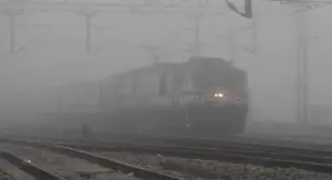 train