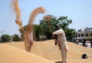 Wheat procurement in UP starts today, 3574 procurement centres established. NewG India