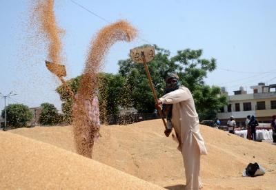 Wheat procurement in UP starts today, 3574 procurement centres established. NewG India