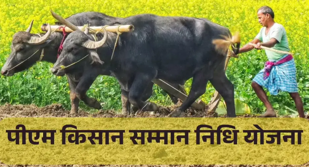 PM Kisan Yojna