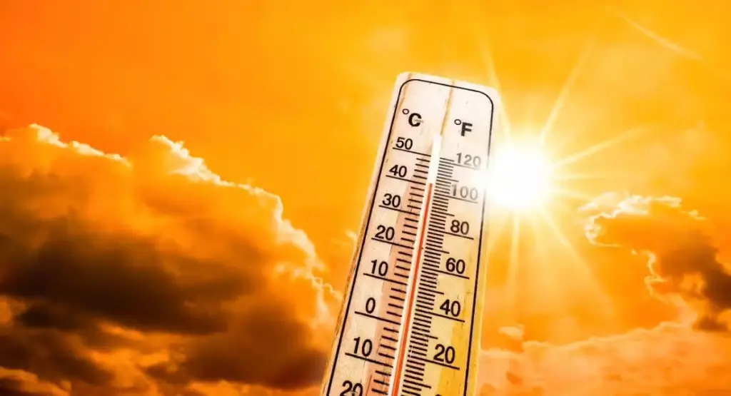 Heat Wave