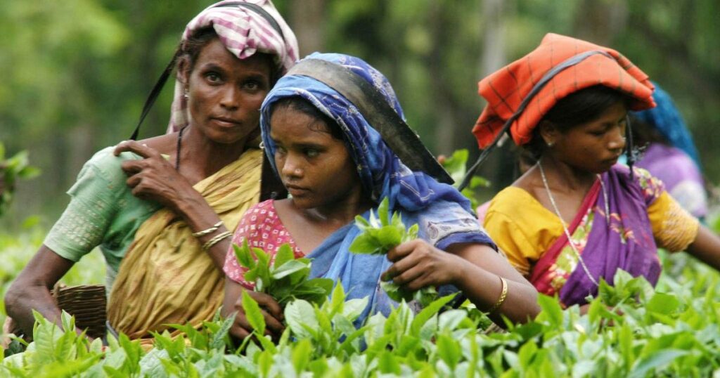 पहली बार बागानों से बाहर निकले श्रमिक: असम से अयोध्या तक आस्था और अनुभव की अनोखी यात्रा