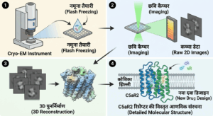 IIT Kanpur के वैज्ञानिकों ने सुलझाई C5aR2 रिसेप्टर की रहस्यमयी गुत्थी