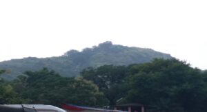 gayaji