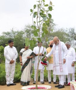 Delhi Ridge to be developed as the capital's 'green lungs': Amit Shah. NewG India