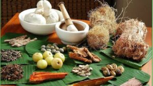 सुरक्षित और समृद्ध भविष्य: पारंपरिक चिकित्सा का नया अध्याय